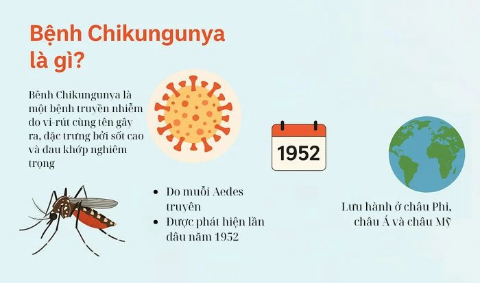 Chikungunya là gì