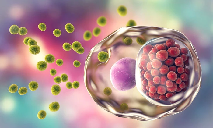 Bệnh Chlamydia là gì