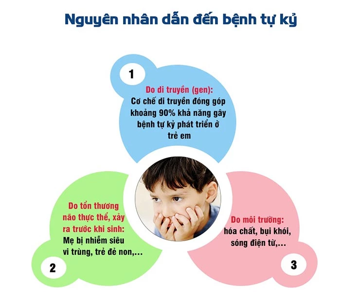 Nguyên nhân tự kỷ