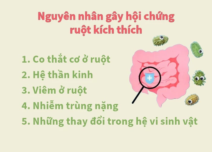 Nguyên nhân gây ra hội chứng ruột kích thích