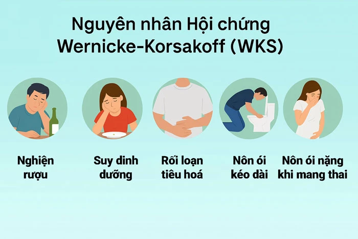 Nguyên nhân gây hội chứng WKS