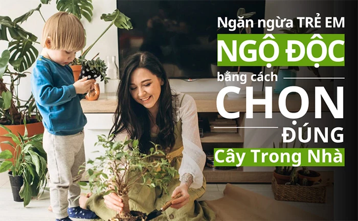 Quy tắc "vàng" khi trang trí cây cảnh để bảo vệ bé yêu