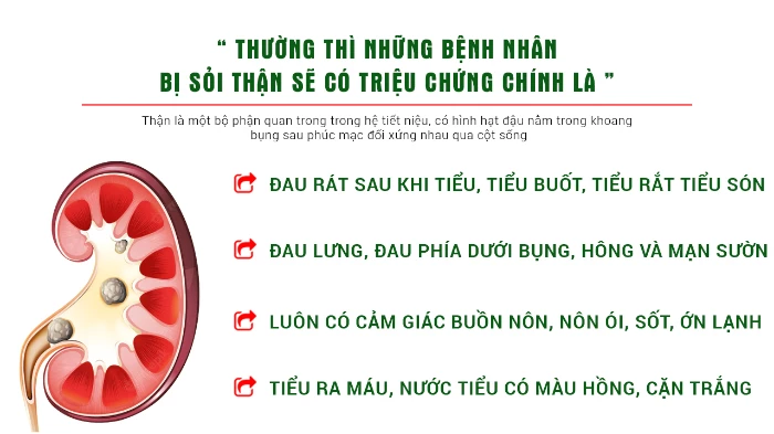 Dấu hiệu, triệu chứng của sỏi thận