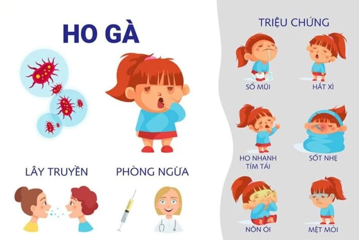 Triệu chứng, dấu hiệu ho gà