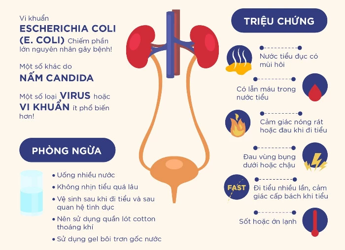 Triệu chứng, dấu hiệu nhiễm trùng tiết niệu