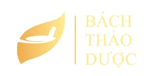 https://nhathuocphuongchinh.com/static/Brands/logo-bach-thao-duoc.jpg