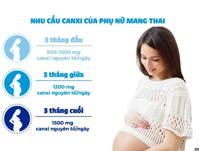 Nhu cầu canxi của phụ nữ mang thai theo từng giai đoạn