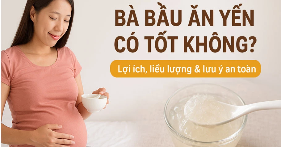 Bầu ăn yến có tốt không? – Lợi ích, liều lượng an toàn và những lưu ý mẹ cần biết