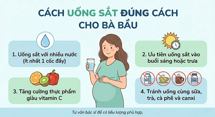 Cách uống sắt và canxi đúng cách cho bà bầu để hạn chế táo bón
