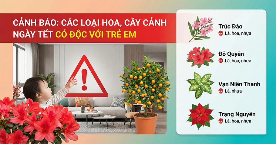 Cảnh báo các loại hoa, cây cảnh ngày Tết có độc với trẻ em