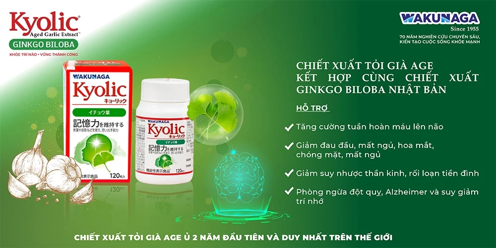 Công dụng của Kyolic Ginkgo Biloba