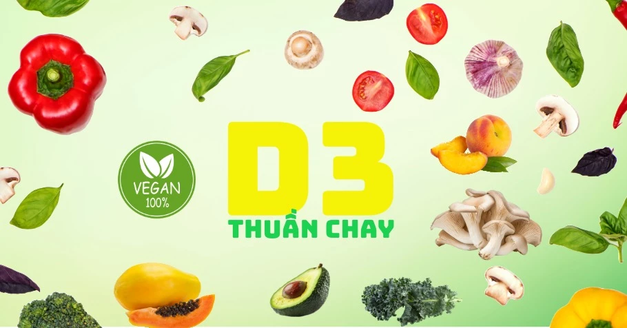 D3 thuần chay là gì? Cách lựa chọn D3 thuần chay cho trẻ sơ sinh