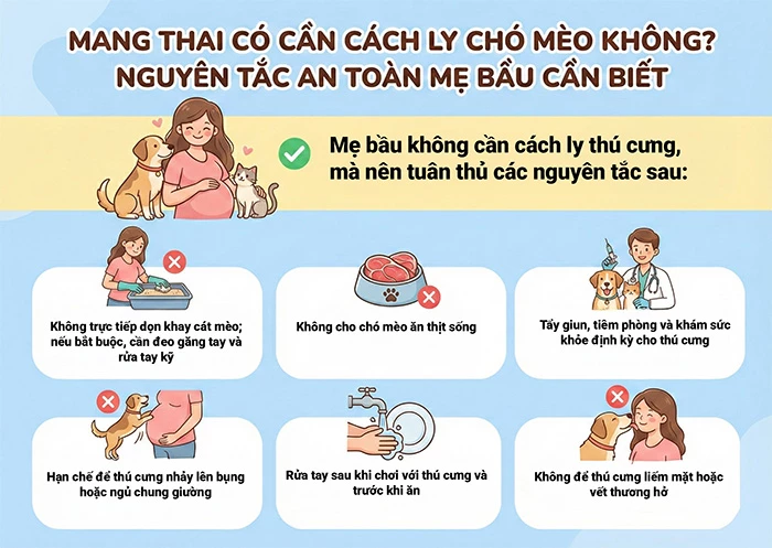 Mang thai có cần cách ly chó mèo không? Nguyên tắc an toàn mẹ bầu cần biết