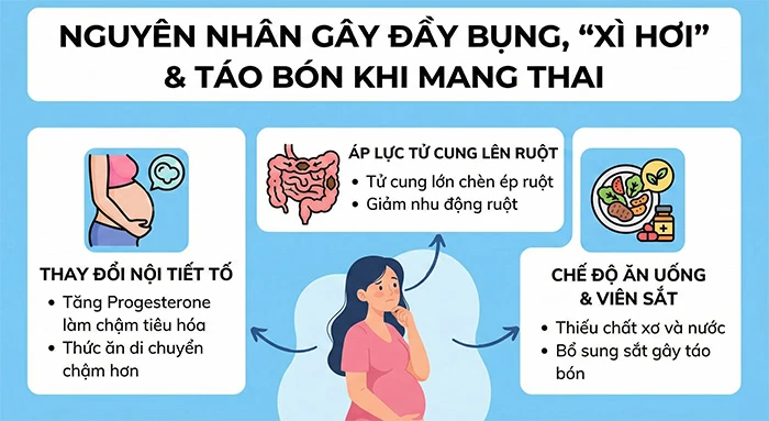 Nguyên nhân gây đầy bụng, “xì hơi” & táo bón khi mang thai