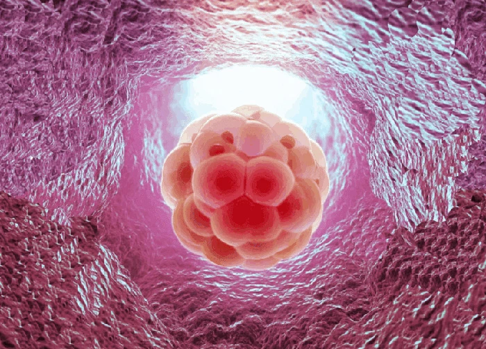 Quy luật “Tất cả hoặc không có gì” (All-or-Nothing Rule)