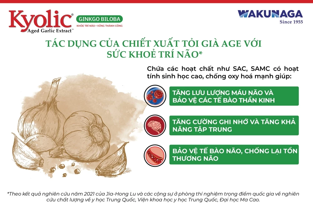 Công dụng của chiết xuất tỏi già AGE với sức khỏe trí não