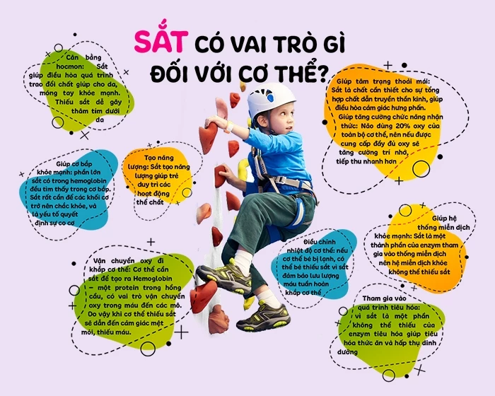 Vai trò của sắt đối với trẻ em