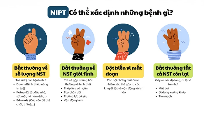 3. Xét nghiệm NIPT là gì?