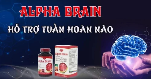 Có những thành phần chính nào trong thuốc bổ não Alpha Brain?
