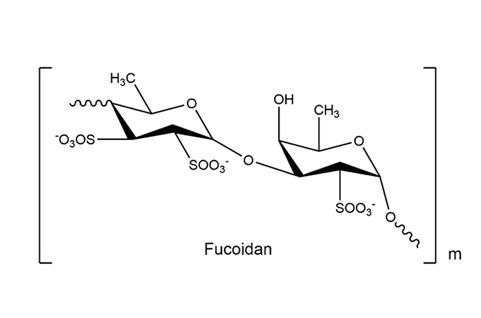 Cấu trúc hóa học của Fucoidan