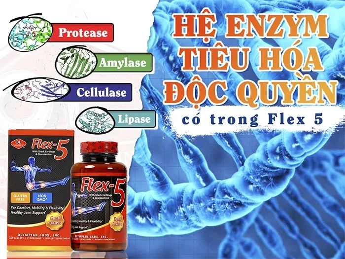 Flex-5 sở hữu tố hợp Enzym tiêu hóa độc quyền giúp hấp thụ các dưỡng chất tốt hơn.