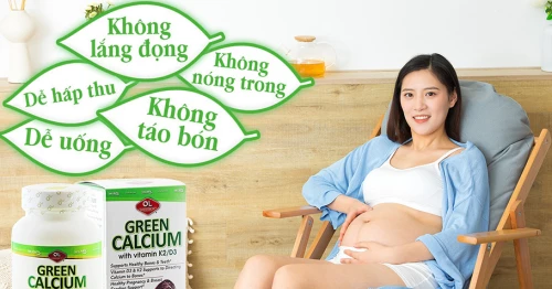 Green Calcium hỗ trợ việc hấp thụ canxi như thế nào?
