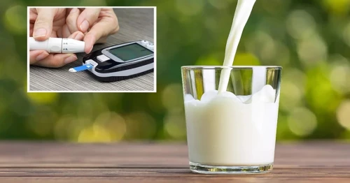 Có những loại sữa nào khác được khuyến nghị cho người già bị tiểu đường?
