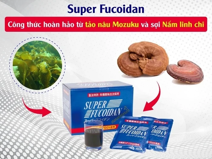 Super Fucoidan dạng nước dễ sử dụng, dễ hấp thu phù hợp với bệnh nhân ung thư mọi giai đoạn.