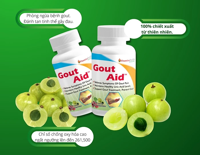 Gout Aid có thành phần từ quả me rừng Ấn Độ có tác dụng rất tốt trong việc hỗ trợ điều trị bệnh gút.