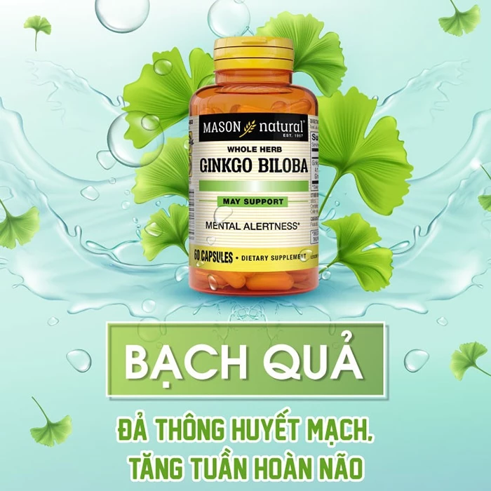 Thành phần của viên uống bổ não Mason Natural Ginkgo Biloba