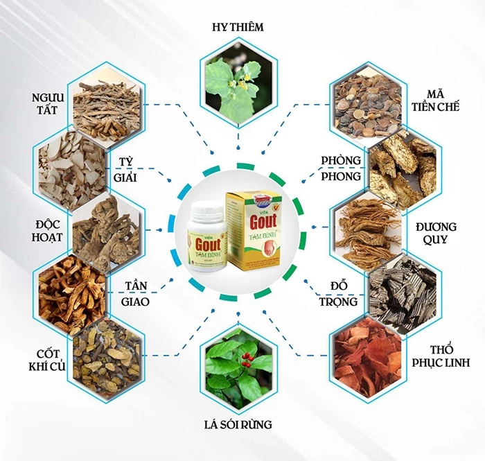 Viên gout Tâm Bình được bào chế từ 12 loại thảo dược quý.