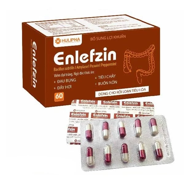 Enlefzin - Hỗ trợ điều trị viêm đại tràng, giảm đầy hơi, chướng bụng